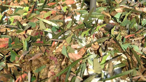 Leaf Litter Particles preview image